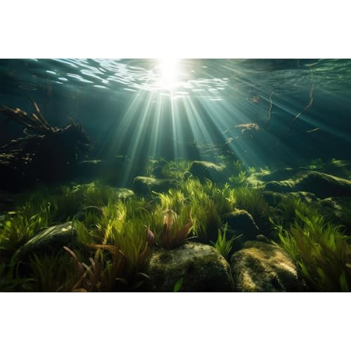 Underwater Aquarium Background Under The Sea Aquatic Grass with Sunbeams Terrarium Background Underwater Rocks with Moss Fish Tank Background Tranquil Natural Underwater Seascape Backdrop 24x16in - color: Oecan Dark Green, size: 24(W)x16(H)in