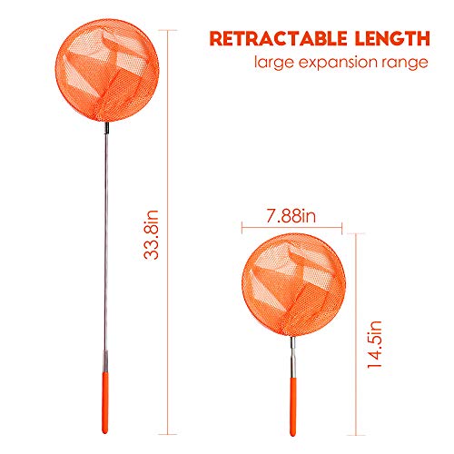 TSYAN Telescopic Butterfly Net, Perfect for Catching Bugs Insect Small Fish,Outdoor Tools Colorful Extendable up to 34" for Kids - color: 5 Pack-3