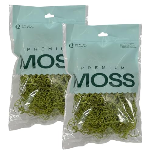 Preserved Spanish Moss - Premium Decorative Moss for Crafts, Home Décor, Art, Design & DIY Projects - Real Moss - Non-Toxic, USA-Made (Chartreuse, Small, 2-Pack) - color: Chartreuse, size: 2-Pack, Small
