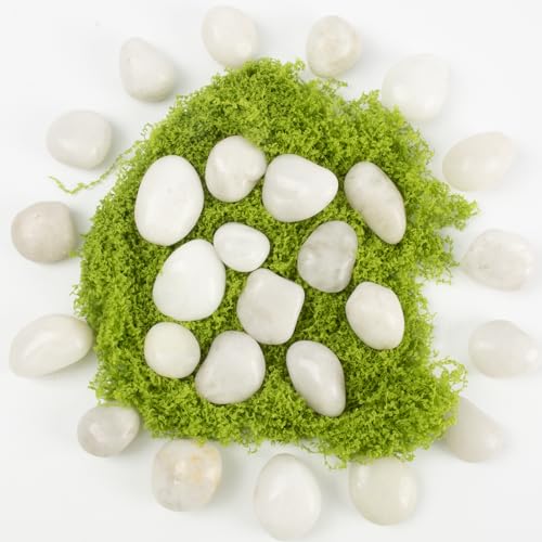 River Rocks - Natural Polished White Pebbles, 0.5-1 inch, 40 lbs - Perfect for Indoor Planting, Vase Filling, Aquarium Decoration, and Garden Landscaping (White, Weight: 40 LB) - color: White, size: Weight: 40 LB