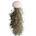 Jellyfish Spanish Moss Live Hanging Air Plant Ornament in Sea Urchin Shell (Small Purple Urchin) - size: Small Purple Urchin