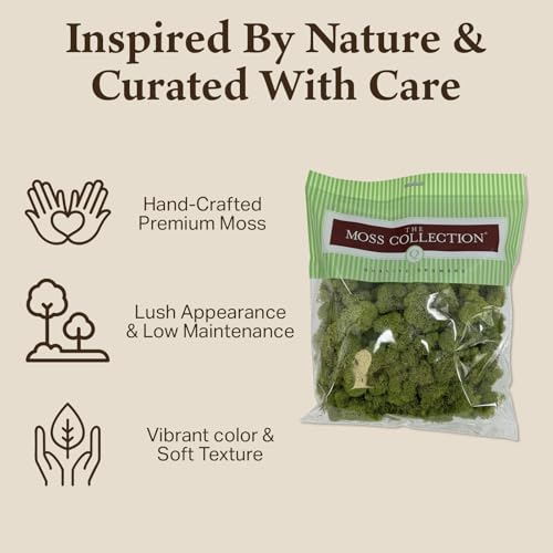 Quality Growers - Preserved Reindeer Moss - Moss for Crafts, Home Decor, Art, Design & DIY Projects - Non-Toxic - USA Made (Spring Green, Medium, 2-Pack) - color: Spring Green, size: Medium (2-Pack)