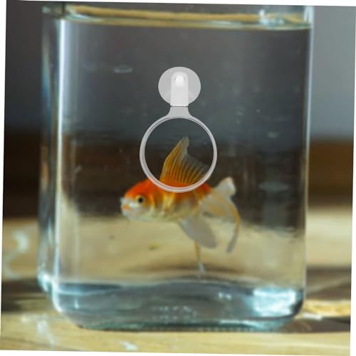 Abaodam Betta Fish Magnifier Suction Cup Magnifying Glass for Small Animals Plants Ants Spiders Easy Installation for Home Aquarium Exploration