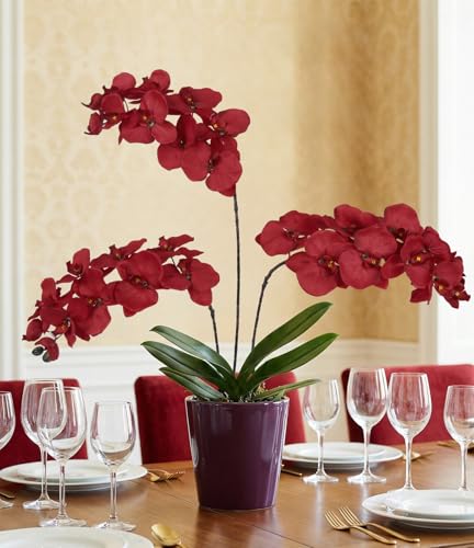 36.6'' Red Orchids Artificial Flowers 10 Large Blooms Fake Phalaenopsis Branches 5PCS Long Stem Faux Silk Orchids for Tall Vase for Home Wedding Party Table Office Decoration (Red) - color: Red