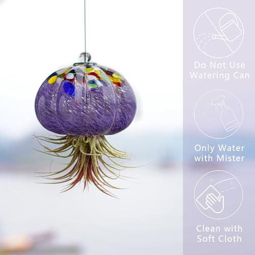 H&D HYALINE & DORA Hanging Hand Blown Art Glass Jellyfish Air Planter Terrarium Decor for Garden Porch Windowsill (No Plants) - color: Jellyfish-purple