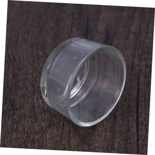 Totority Clear Glass Reptile Feeder Bowl Durable Round Dish for Fish and Reptile Food Smooth Design for Tank Aesthetics Feeding for Lizards and Shrimp