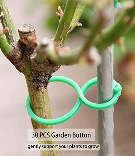 80PCS Plant Climbing Wall Fixture Clips-Plant Clips-Pothos Clips-Vine plant wall clips- Self-Adhesive Plant Fixing Hook for Plant Garden Wall Clip,Sticky Plant Fixing Clip for Decoration - size: leaf
