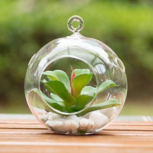 WGV Hanging Terrarium Globe, Width 5", Height 6", DIY Air Succulent Planter, Clear Glass Vase Orb with Flat Bottom, Candle Holder for Windowsill Outdoor Garden Decor, 6 Pieces Bulk - size: 5" Flat Bottom