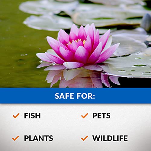 CrystalClear Algae D-Solv Pond Algae Control, Fast-Acting EPA Registered Algaecide, Use in Fountains & Outdoor Ponds Containing Koi & Other Fish, Treats 5,760 Gallons, 16 Ounces - size: 16 Ounces