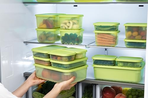 LocknLock Fresh-Block Plastic Food Storage Container | Produce Storage Containers for Fridge | Vegetable & Fruit Storage Containers for Fridge, Airtight Storage, Microwave & Dishwasher Safe, 3.2L - size: 3.2L