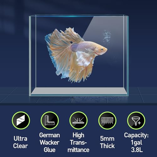 LAQUAL 1 Gallon Fish Tank Starter Kit with Fish Net, 1 Water Changer Siphons & 2 Cleaning Cloth, Crystal Clear Glass Fish Tank, Small Fish Tank/Aquarium for Betta & Goldfish, Nice Home Décor - color: 1 gal square