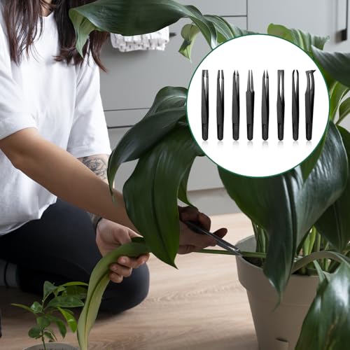 8 Pcs Venus Fly Trap Feeding Tweezers, Carnivorous Plant Feeding Tongs Straight and Curved Food Tongs for Flytraps Pitcher Plants Butterwort Reptile Feeding (4.6Inch)