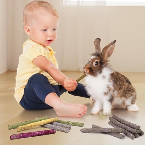 52Pcs Rabbit Chew Sticks, Guinea Pig Toys, Natural Timothy Grass Molar Teeth Stick, Mixing Flowers, Roses, Calendula and Forget Me Not, Small Animals Treats - size: 52Pack-Sticks