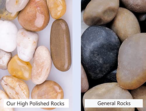 6 lb Mixed Color River Rock Stones 1~1.5", Natural Decorative Highly Polished Pebbles, Indoor Decorative Stones for Plant, Aquariums, Landscaping, Garden Flower Bed, Vase Fillers - size: 6 LB