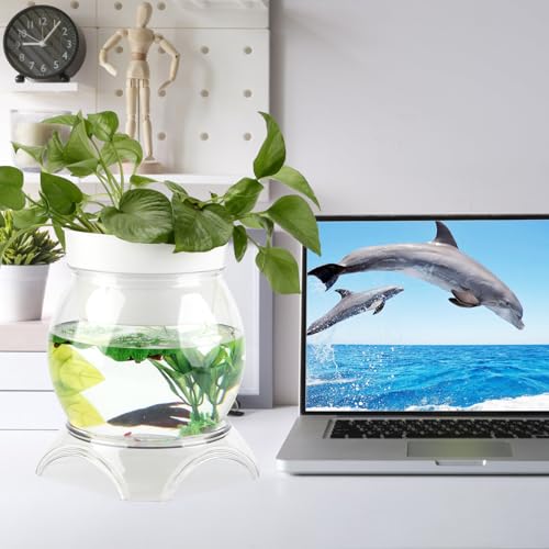 1 Gallon PET Aquaponic Fish Tank, Fish Bowl Aquaponic Betta Fish Tank Clear Aquarium for Betta Fish Reptiles Succulents Flower Vase Betta Fish Centerpiece Present for Home Office Desktop Decors - size: 1 Gallon