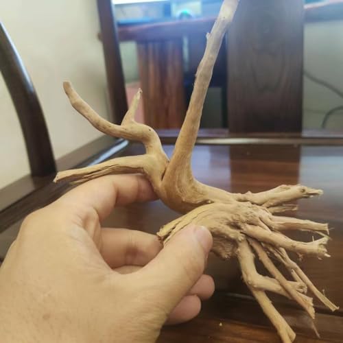 8pcs Natural Small Spiderwood Driftwood for Aquarium Decor Aquarium Driftwood Freshwater Reptile Driftwood Aquarium spiderwood (spiderwood 5-6inch 8pcs)