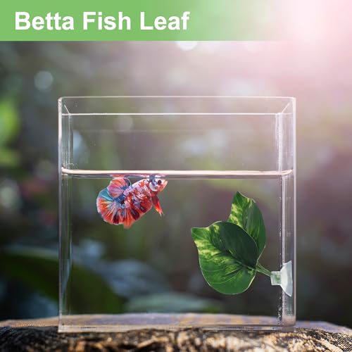 Betta Fish Leaf, Natural Habitat Simulation for Betta Spawnings Grounds, Betta Spawnings Leaves, Resting Bed, Double Leaves, Dark Green