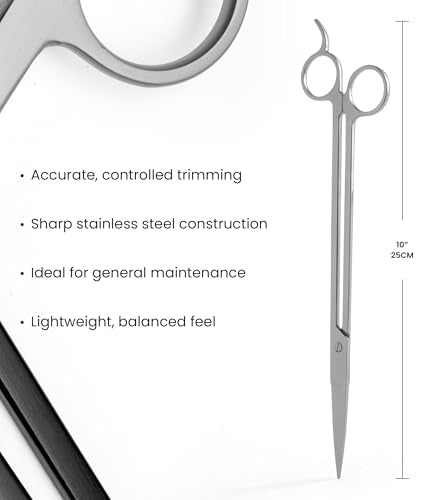 UNS Pro Aquascaping Tools - Stainless Steel Aquarium Accessories for Trimming Carpet & Stem Aquatic Plants, Coral Cutting in Freshwater, Reef, Terrarium or Vivarium Tanks - Straight Scissors, Grey - color: Grey