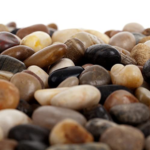 Polished Colored Stone Pebbles 10 Lb. 1” – 2” inch Pebbles for Plants, Fairy Gardens, Décor, Landscaping, Succulent, Terrarium, Decorative, 100% Natural Colorful Stone Pebbles, Multicolored Rocks
