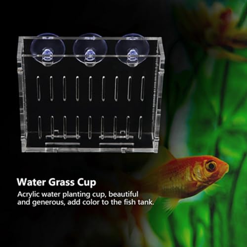 Aquarium Plant Holder, Fish Tank Plant Holder Cup, Acrylic Planter Grass Container with Suction Cups for Water Feature Decoration