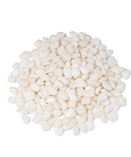 GASPRO 10 lb Highly Polished White Pebbles & Stones - 3/8" Small Decorative Rocks for Indoor Plants, Succulents, Vases, Terrariums & Home Decor - size: 10lb