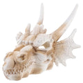 Yardwe Dinosaur Skull Statue 8.66In Resin Dragon Skull Aquarium Decor Desktop Courtyard Ornament Fish Tank Reptile Accessory