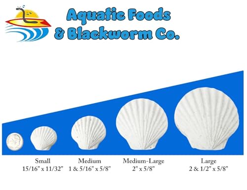 Calcium Feeder Small & Medium Shells. Extra Thick Shells for Shrimp, Snails, Crabs, Crayfish, Hermit Crabs and All Tropical Fish…50 Count Jar - size: 50 Count (Pack of 1)