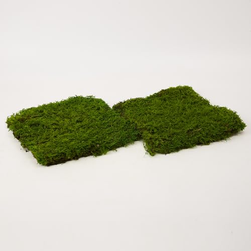 Preserved Sheet Moss Natural Green Decorative Real Natural Green DIY Kit Gardenning Art Wall Decor Florist Decor Easter Table Decor Wedding 2 sq.ft.Green-B - color: Green-b, size: 2.0 sq.ft.