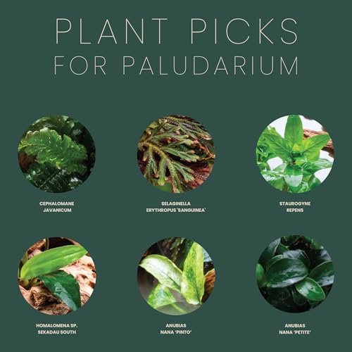 Ultum Nature Systems Rimless Paludarium - Ultra Clear Low Iron Glass with Mitired Edges, Bulkheads and Leveling Mat Inluded (5E)