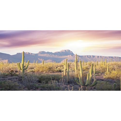 AWERT Reptile Habitat Background Blue Sky Oasis Mountain Cactus Sun and Desert Terrarium Background 30x12 inches - size: 30x12in/75x30cm