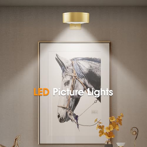 Picture Lights for Wall, 3 Lighting Modes Magnetic Art Display Light,Rechargeable Battery Operated Led Painting Light with Remote Control Dimmable & Timer,3Pack Gold - color: Gold, size: 3 Pack