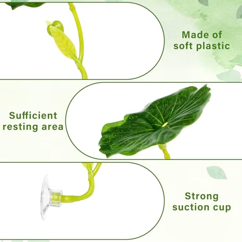 QfwdfcTrenz 3 Pcs Betta Fish Leaf Pad Simulating The Natural Habitat Green Hammock for Fish Spawning Grounds Leaves Improves Betta's Health Comfortable Resting Bed
