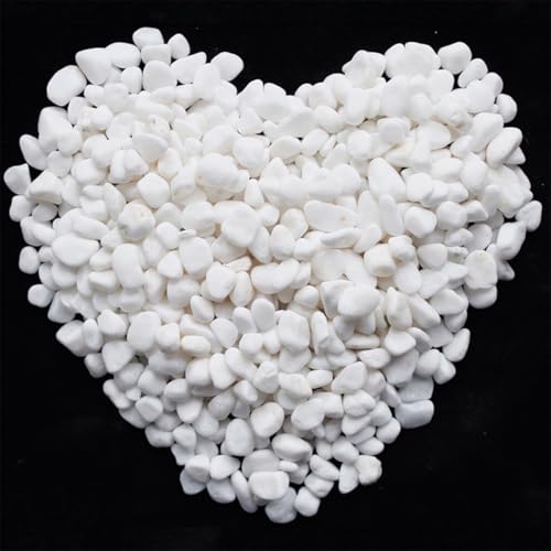 1 Lb/460g White Stones Decorative Pebble Rock Sand for Aquarium/Fish Turtle Tank/Vase Filler/Succulent Plants Decoration (Fill 1 Cup) - color: White, size: 1 Pound