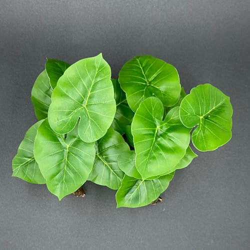 Fish Tank Decor Aquarium Decorations Ornaments Betta Leaf pad Hammock 6inch Plastic Artificial Plant Goldfish Fish Hides Small Tank/Reptiles Plants Driftwood (Green-Type-A-Set) - color: Green-type-a-set