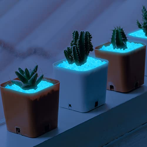 850pc Luminous Pebble Stones Glowing Rocks Indoor Outdoor Decor Luminous Stone for Garden Patio Aquarium Walkway Driveway(Blue) - size: 850, style: Blue