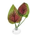 Betta Fish Leaf, Natural Habitat Simulation for Betta Spawnings Grounds, Betta Spawnings Leaves, Resting Bed, Large Small Leaves, Deep Green Brown