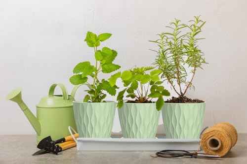 6 Inch Plant Pots, 6 Pack Indoor Flower Pots, Planters with Drainage Holes and Trays for Orchids, Violets, Succulents, Herbs, and Other Plants,Green - color: Green, size: 6inch