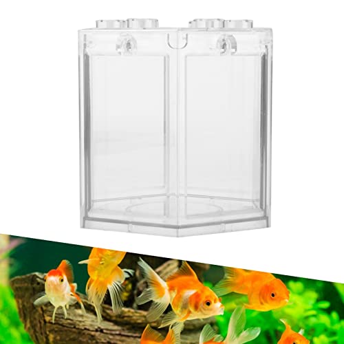 Fish Clear Goldfish with Light Desktop Small Fish for Betta Fish, Shrimp, Goldfish(Transparent)