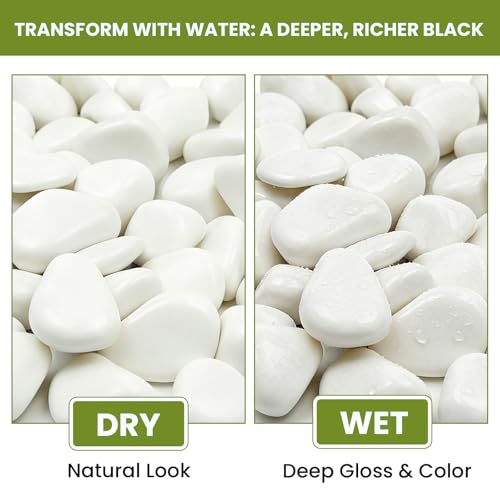 1-2 Inch Polished River Rocks, Decorative Stones for Indoor Plants, Vase Filler, Fish Tank & Aquarium, Garden Landscaping, White, 18LB - color: White, size: 18LB