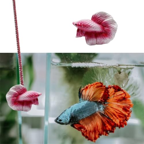 2 Pack Interactive Betta Fish Flare Stick Toy for Betta Tanks - Simulated Betta Training Teasing Toy for Betta Color Grow and Good Behavio (2 Pack) - color: 2 Pack