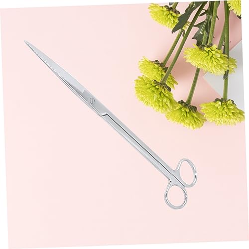 25CM Stainless Steel Aquarium Scissors Long Handle Straight Trimming Shears for Aquatic Plants Mirror Polished Suitable for Freshwater and Saltwater Use
