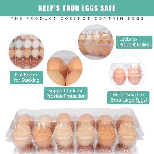 SINLUCESCE 60 Packs 12 Count Clear Egg Cartons, 2 * 6 Grids Design, Perfect for Family, Farm, Markets, Display(Large) - size: 2x6, L