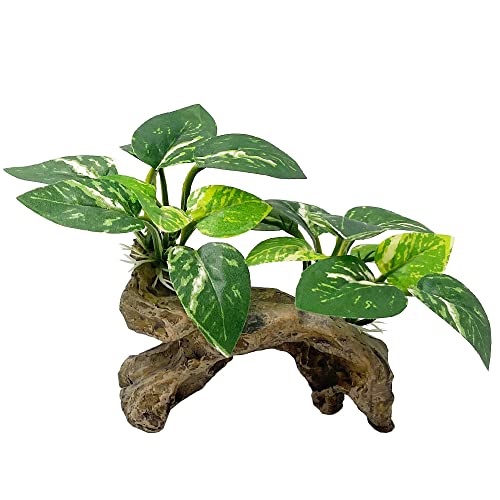 Fish Tank Decorations Aquarium Decor Ornaments Betta Silk Leaf pad Hammock Artifical Driftwood cave Goldfish Bowl Accessories (Type-C) - color: Type-c