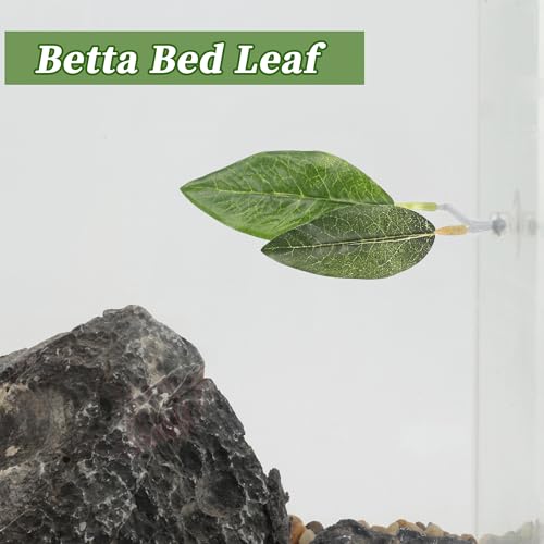 Betta Fish Bed, Betta Leaf Bed, Plastic Betta Hammock, Betta Hammock Pad w/Suction Cup, Betta Fish Resting Place Betta Fish Supplies Aquarium Decor, Green - color: Green