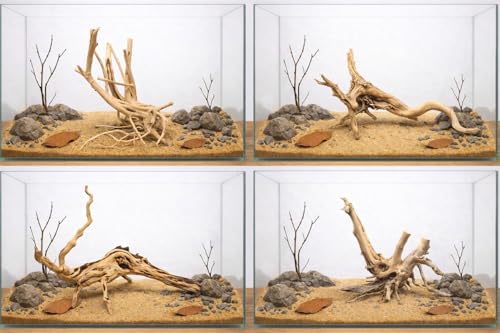 Azil spiderwood Natural Aquarium - size: Spiderwood 10'' - 14''