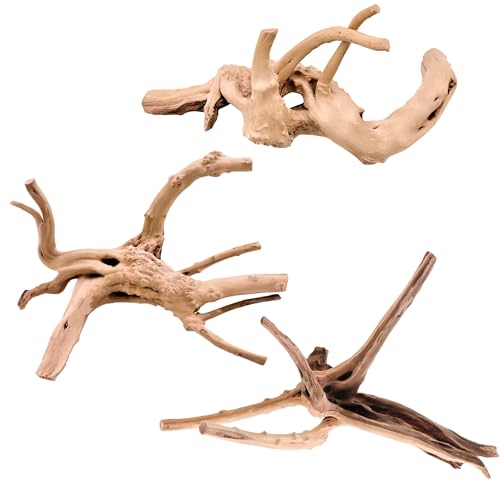 Kaiyuan Dynasty 3Pcs 8-10" Natural Aquarium Spiderwood for Reptile Terrariums Spider Wood Branch for Aquatic Plants Fish Tank Decorations - size: Spiderwood 8 to 10 Inch(Pack of 3)