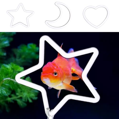 8Pcs Betta Exercise Ring with Suction-Cup, Betta Fish Toys, Beta Fish Aquariums Accessories, Fish Feeding Ring for Betta Tank