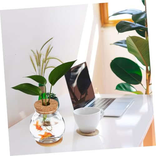 BESPORTBLE Desktop Hydroponic Glass Fish Tank with Lid and Bamboo Mat Transparent Betta Fish Bowl for Home Decor and Aquatic Plants for Desktop Bookshelf