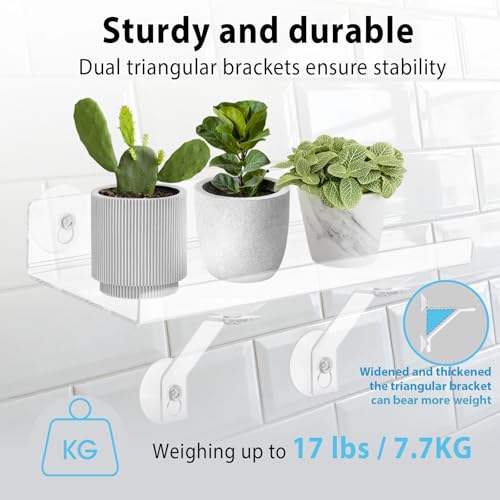 2 Pack 12 Inch Acrylic Window Boxes Plant Shelves, 6 Inch Extra-Wide Windowsill Extender – Features Suction Cups and Support Brackets for Succulents, Herbs, Seed Starting | Indoor/Outdoor Use - size: 12IN-2PC