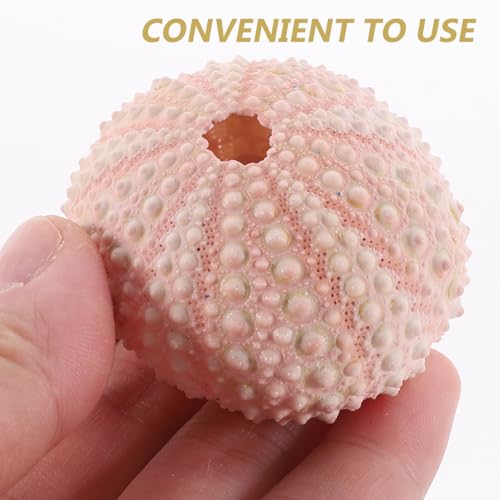 POPETPOP 6Pcs Natural Sea Urchin Shell Air Plant Holders 2.16In Miniature Flower Pots Aquarium Landscape Tabletop Decor Versatile Indoor Outdoor Planters